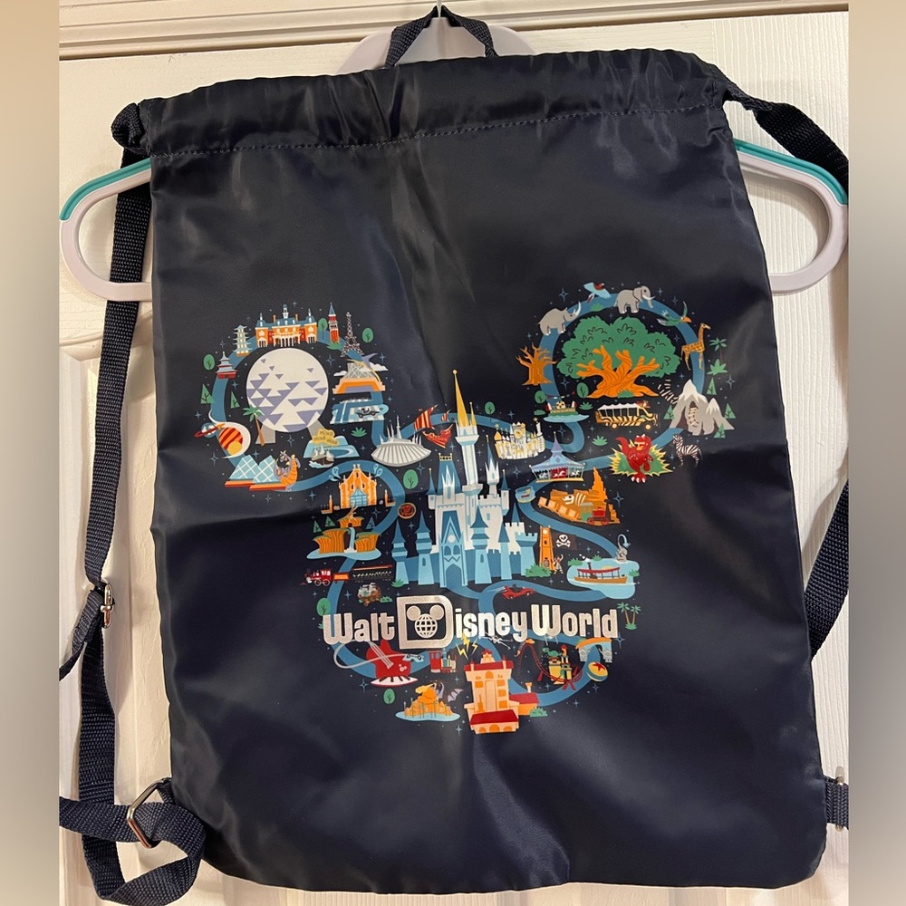 Disney World bag